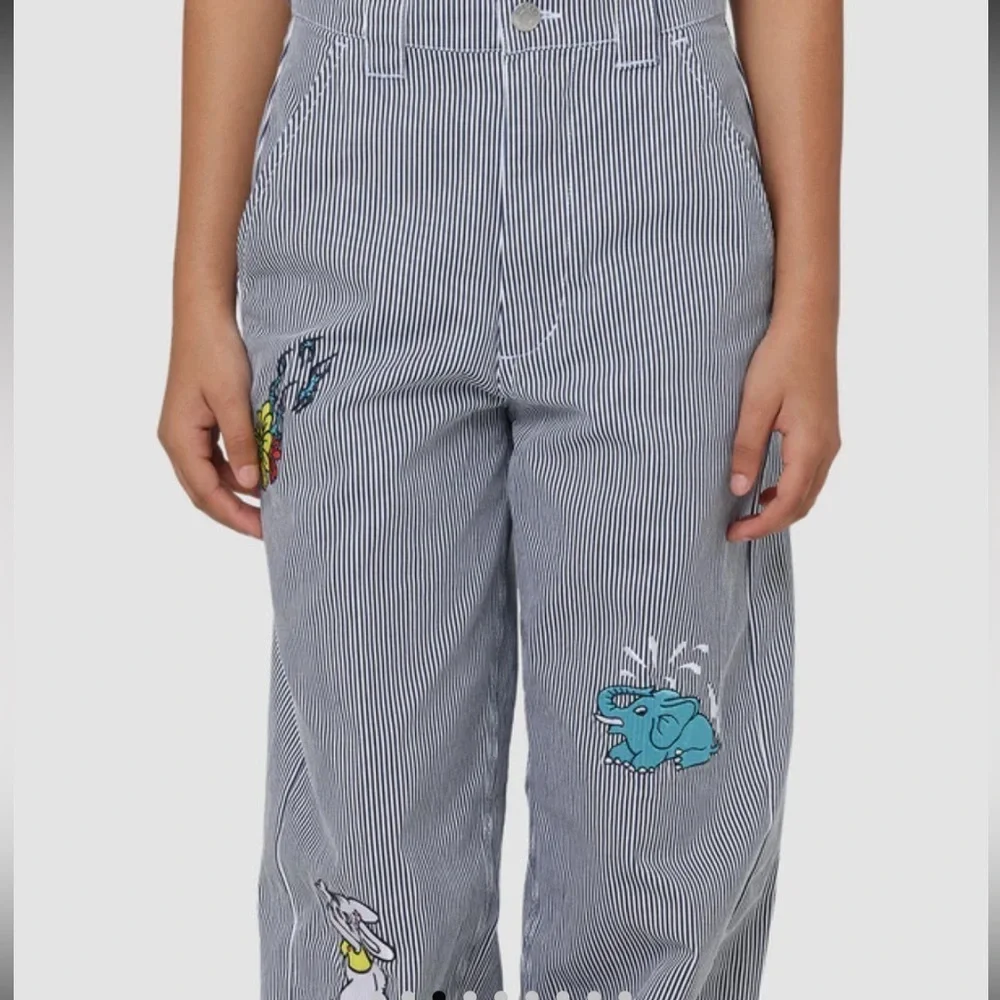 OBEY WOMEN'S HARU BAGGY PANTS striped embroidered size 25